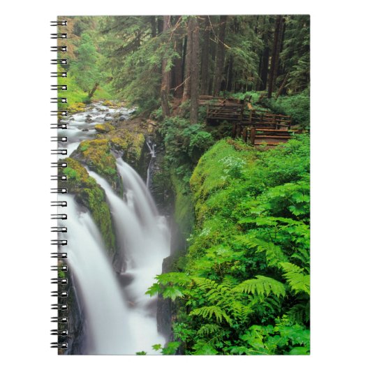 Carnet Cascades de Sol Duc dans le parc national Olympiqu (Devant)