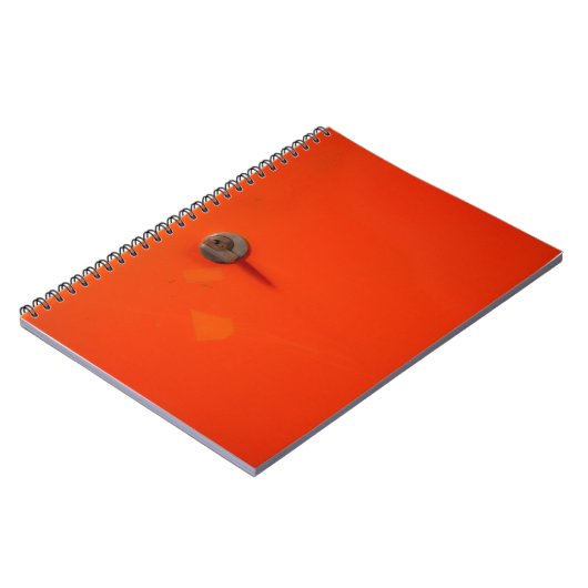 Carnet Casier orange (Côté gauche)