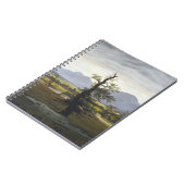 Carnet Caspar David Friedrich - L'arbre solitaire (Côté gauche)