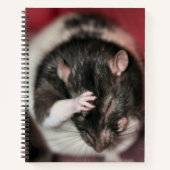 Carnet Casque (Devant)