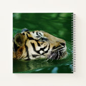 Carnet Casque de natation en tigre malaisien (Dos)