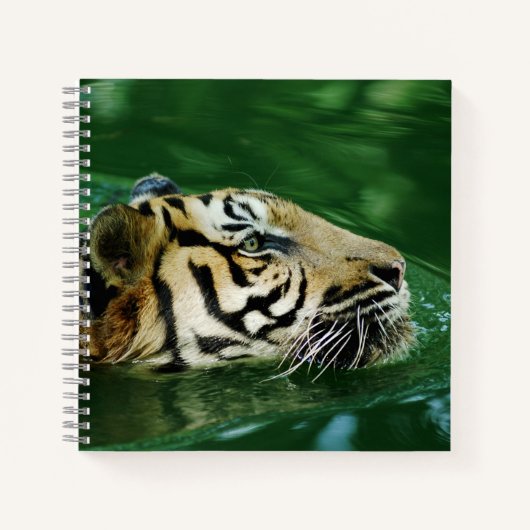 Carnet Casque de natation en tigre malaisien (Devant)