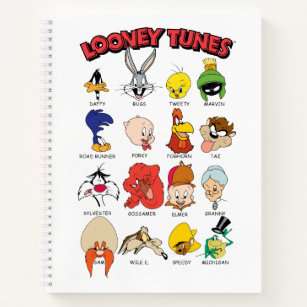 Carnet Casques LOONEY TUNES™