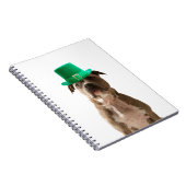 Carnet Casquette de la Saint-Patrick Jour du Chien Taurea (Côté Droit)