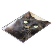 Carnet Cat (Côté gauche)