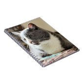 Carnet Cat (Côté Droit)