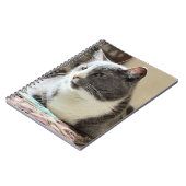 Carnet Cat (Côté gauche)