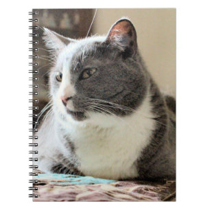 Carnet Cat