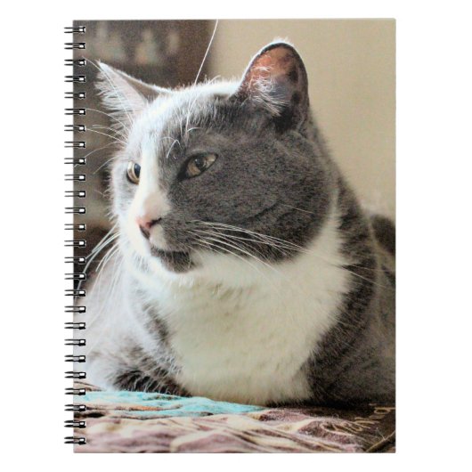 Carnet Cat (Devant)