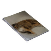 Carnet Cat (Côté Droit)