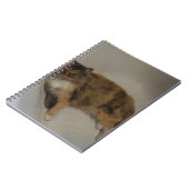Carnet Cat (Côté gauche)