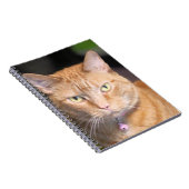 Carnet Cat (Côté Droit)