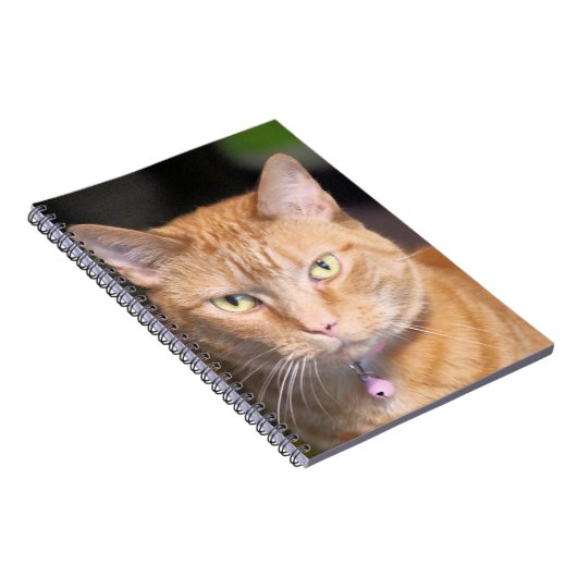 Carnet Cat (Côté Droit)