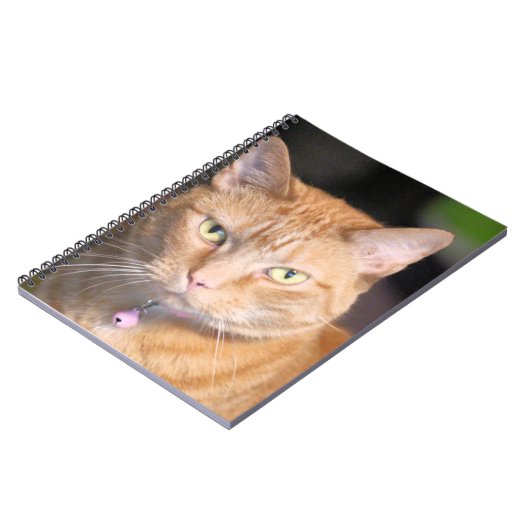 Carnet Cat (Côté gauche)