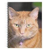 Carnet Cat (Devant)