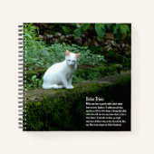 Carnet Cat blanc (Devant)