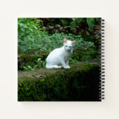 Carnet Cat blanc (Dos)