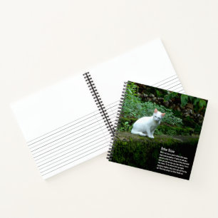 Carnet Cat blanc