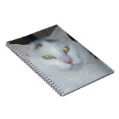 Carnet Cat Thoughts Chat blanc (Côté Droit)