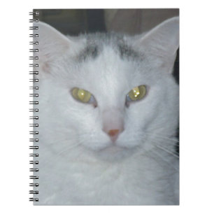 Carnet Cat Thoughts Chat blanc