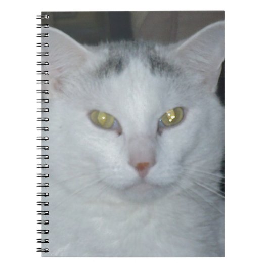 Carnet Cat Thoughts Chat blanc (Devant)