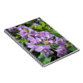 Carnet Catawbiense Boursault Rhododendrons, Oregon (Côté Droit)