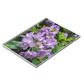 Carnet Catawbiense Boursault Rhododendrons, Oregon (Côté gauche)