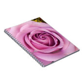 Carnet Catejne (Côté Droit)