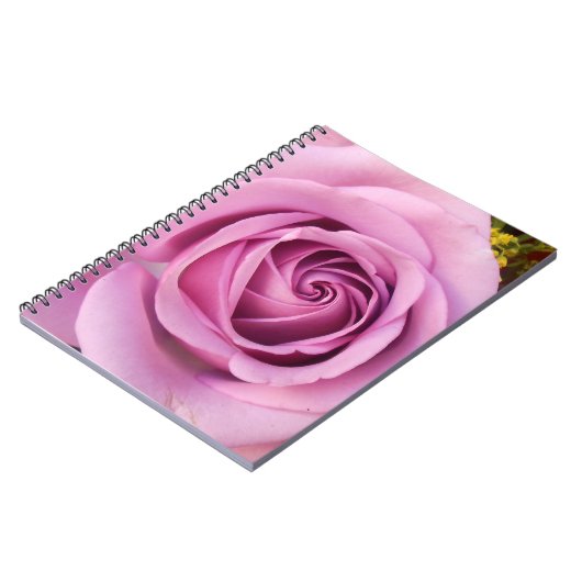 Carnet Catejne (Côté gauche)