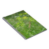 Carnet Caterpillar (Côté Droit)