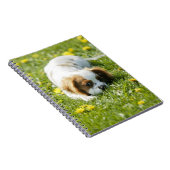 Carnet Cavalier King Charles Spaniel (Côté Droit)