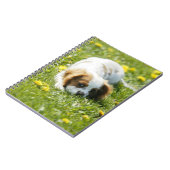 Carnet Cavalier King Charles Spaniel (Côté gauche)