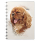 Carnet Cavalier King Charles Spaniel (Devant)