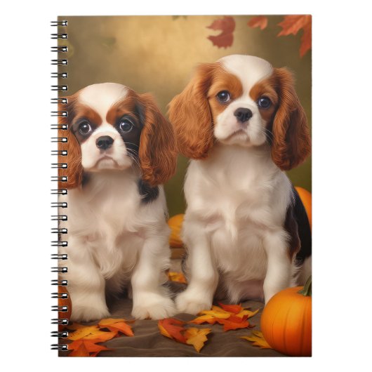 Carnet Cavalier King Charles Spaniel Chiot Citrouille d'a (Devant)