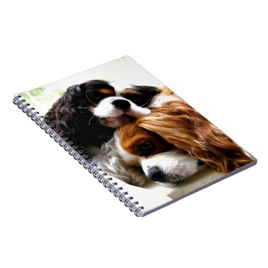 Carnet Cavaliers de frères (Côté Droit)