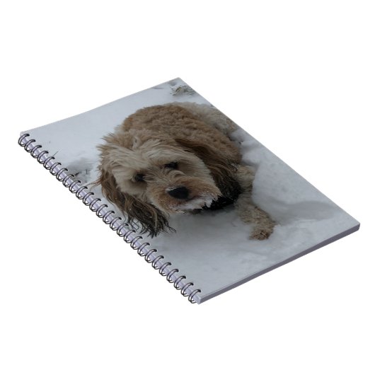 Carnet Cavapoo (Côté Droit)