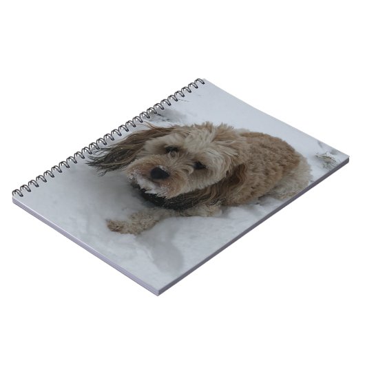 Carnet Cavapoo (Côté gauche)