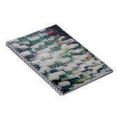 Carnet Cave 2012 (Côté Droit)