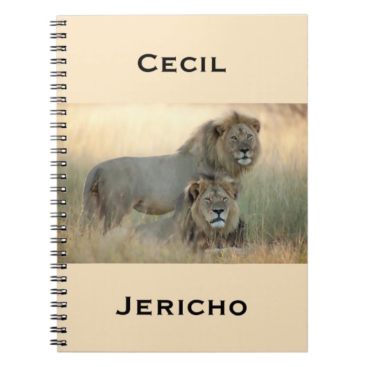 Carnet Cecil & Jericho Frères Lions d'Afrique (Devant)