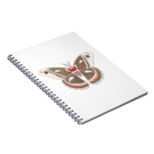 Carnet Cecropia Moth (Côté Droit)