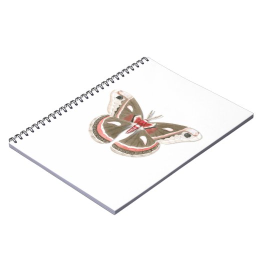 Carnet Cecropia Moth (Côté gauche)