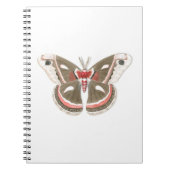 Carnet Cecropia Moth (Devant)