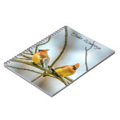 Carnet Cèdre - Photographie originale (Côté gauche)