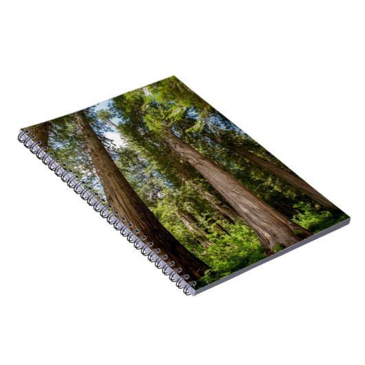 Carnet Cèdre rouge occidental (Côté Droit)