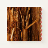 Carnet Cèdre texturé en écorce de bois (Dos)