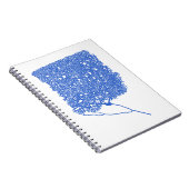 Carnet Cellule Purkinje (Côté Droit)