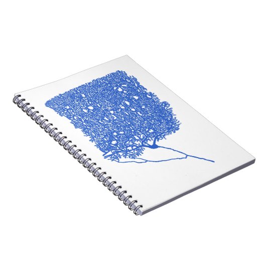 Carnet Cellule Purkinje (Côté Droit)