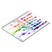 Carnet Cellules cônes cellules tiges et neurone bipolaire (Côté gauche)