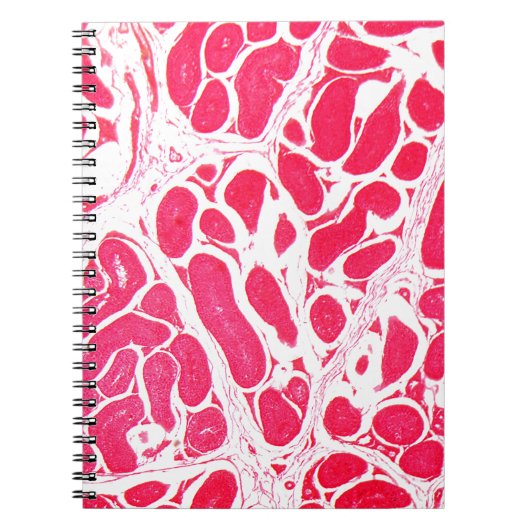 Carnet Cellules de testicule sous le microscope (Devant)
