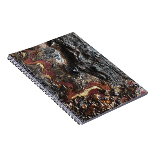 Carnet Cendres (Côté Droit)